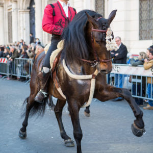 Il pluricampione di dressage Andrea Giovannini durante la sfilata del Corteo Equestre Rinascimentale a Piazza Navona in occasione dell'ottava edizione del Carnevale Romano